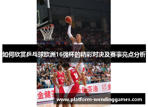 如何欣赏乒乓球欧洲16强杯的精彩对决及赛事亮点分析